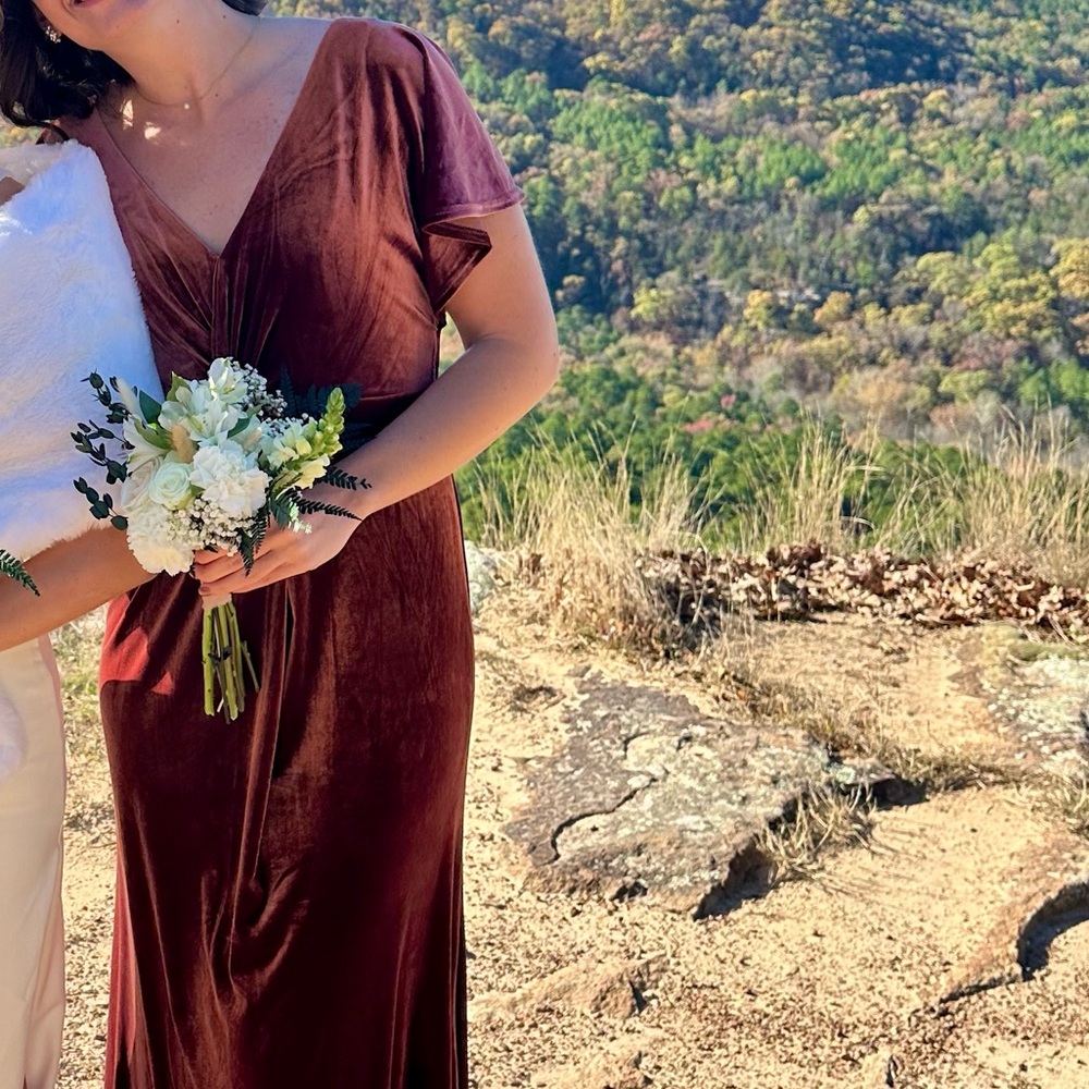 Gwen Velvet Dress ~ size: 8 ~ worn once!